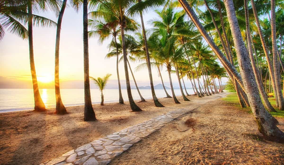 Palm Cove beach at sunrise with palm trees near Cairns