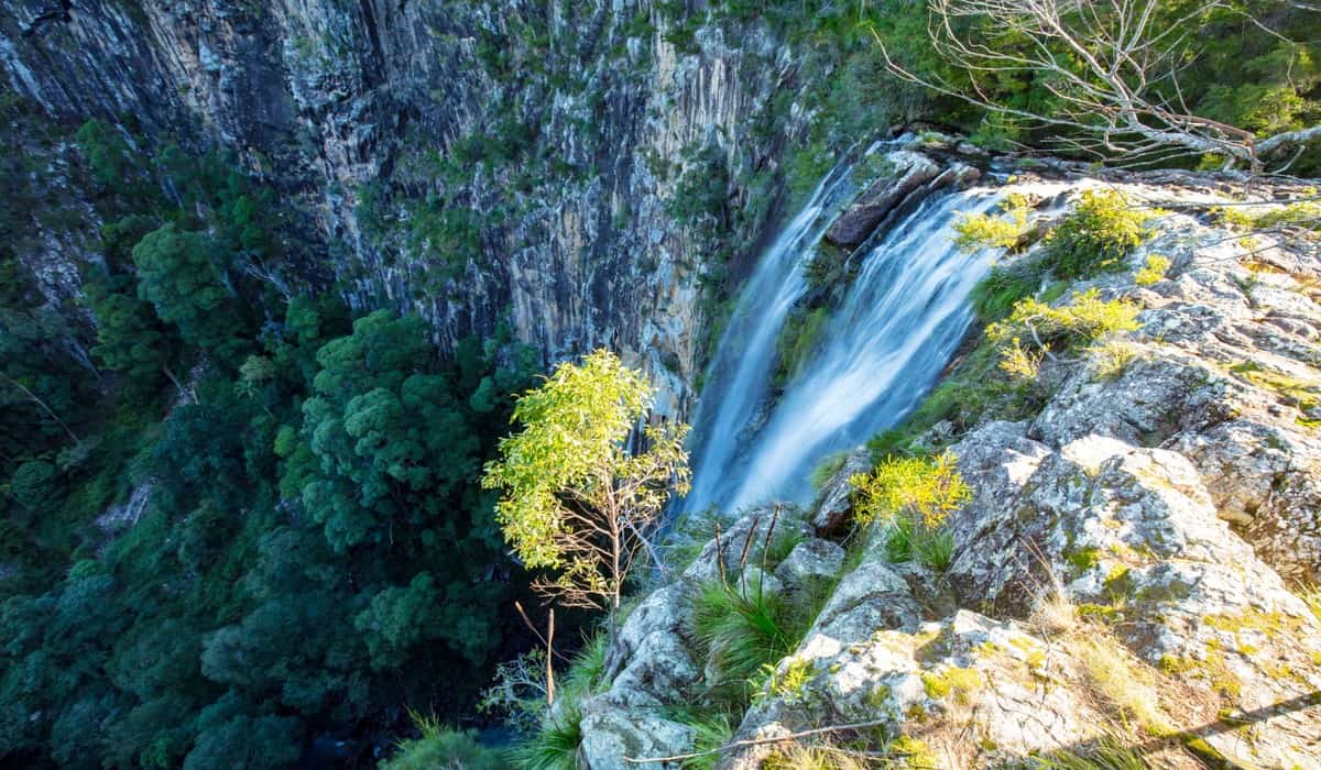 View from the top of Minyon Falls overlooking the rainforest valley in Northern NSW